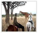 Lewa Wildlife Conservancy 