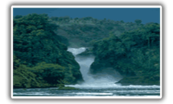 Murchison Falls National Park